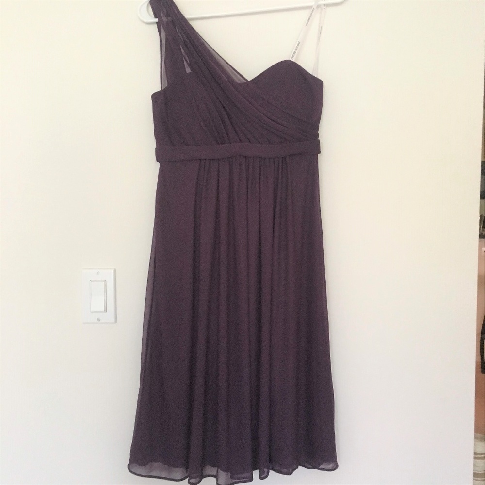 David's Bridal Plum Bridesmaid Dress One Shoulder